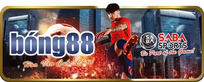 An toàn và Công bằng tại sumclup chính thức